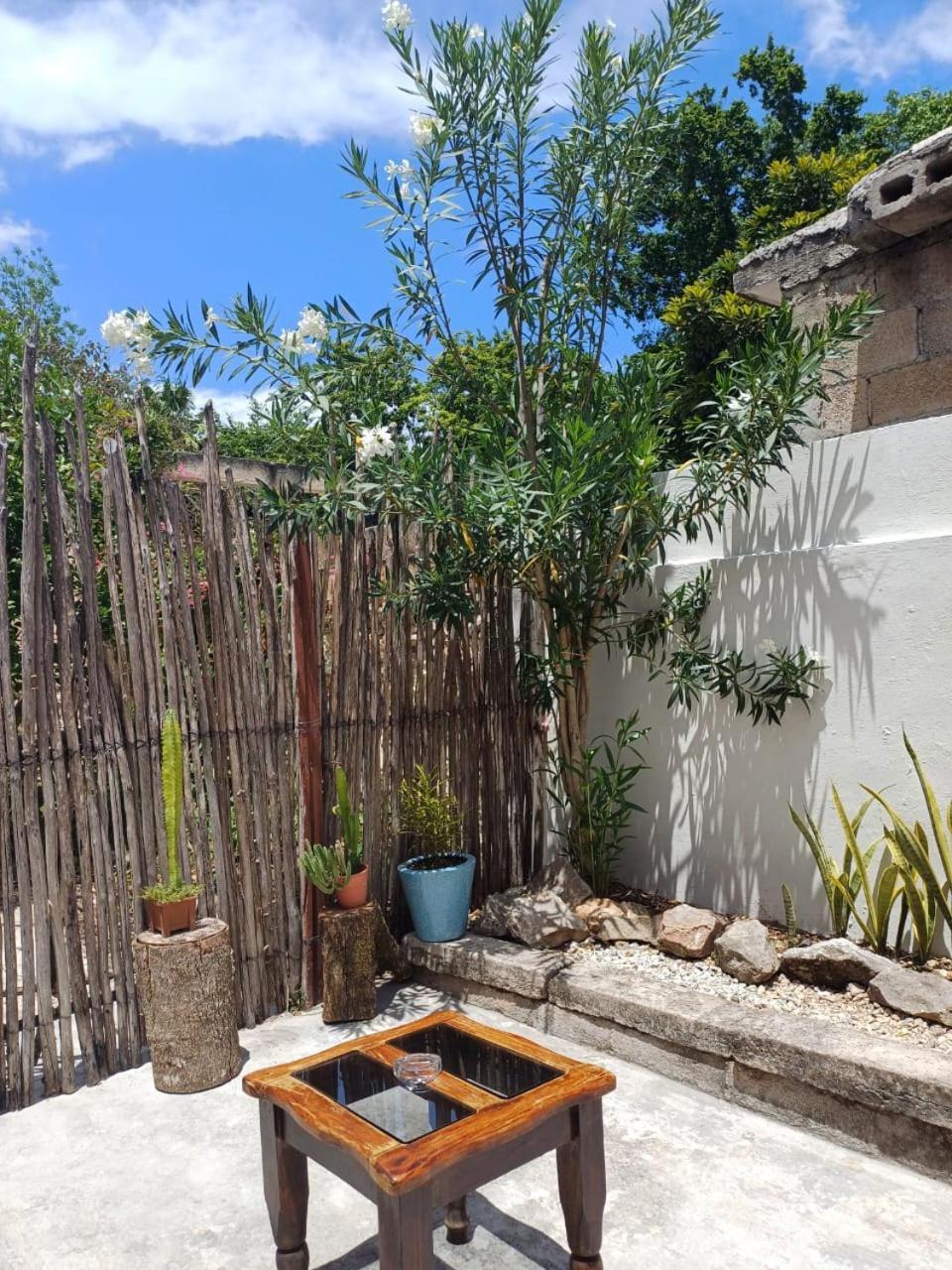 Casa Candelita 바야돌리드 외부 사진
